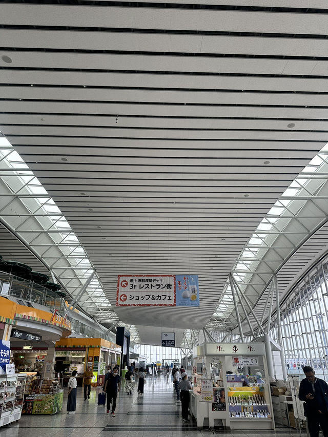 【仙台空港】飛行機に乗る前に絶対寄りたいラーメンスポット🍜