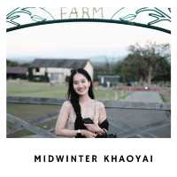 🏰 Midwinter Khaoyai – ปราสาทยุโรปกลางเขาใหญ่