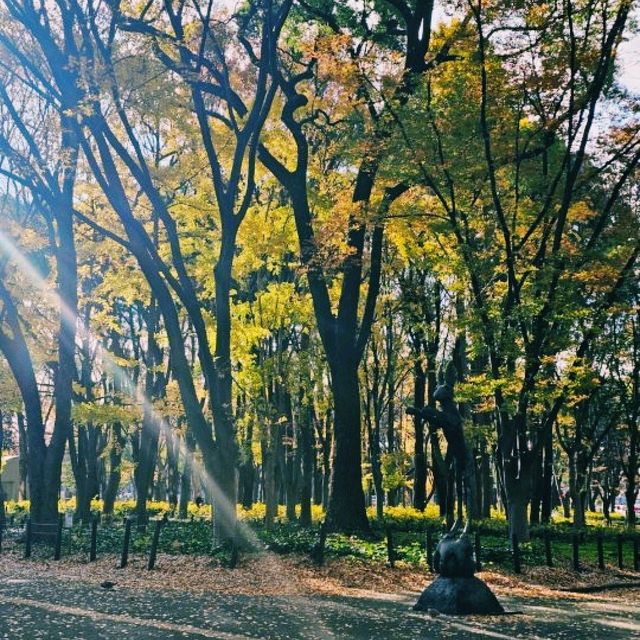나고야, 조용하고 깊이 있는 일본 중부 여행기