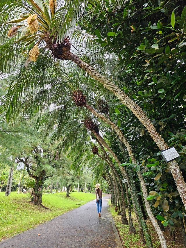 🌊海・植物・イルカ・文化がひとつに。沖縄の魅力を一日で感じる冒険へ。