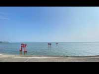 【大魚神社の海中鳥居】潮の満ち引きが生む神秘の絶景⛩️🌊