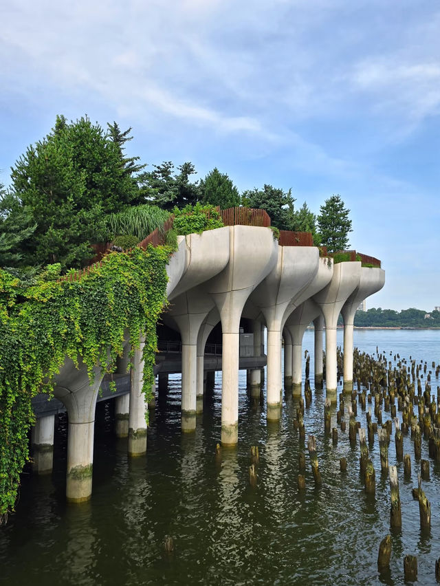 Little Island: A Floating Garden Escape in NYC 🌿🏝️🌇