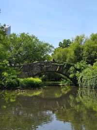Nature Meets Skyline: Gapstow Bridge & The Pond in Central Park 🌉🍁🏙️ 