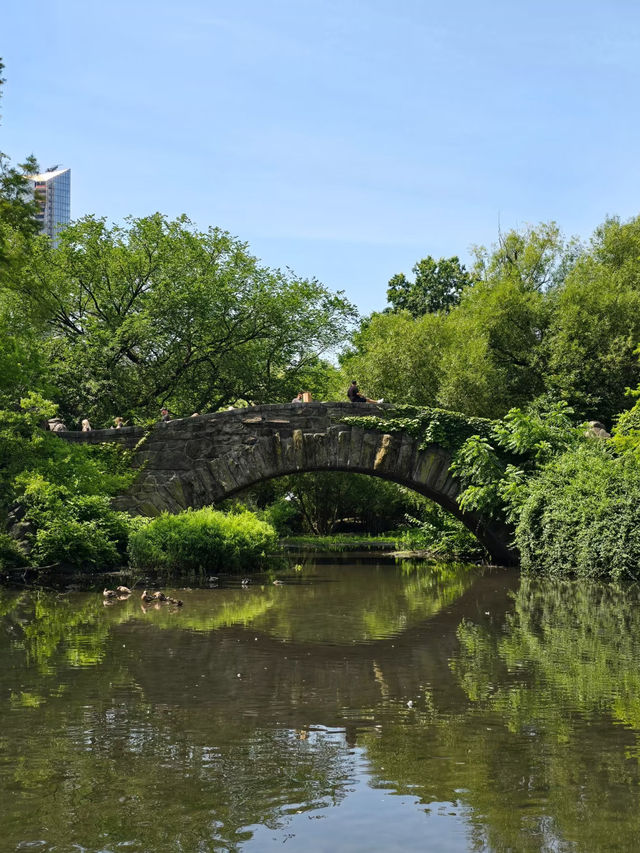 Nature Meets Skyline: Gapstow Bridge & The Pond in Central Park 🌉🍁🏙️ 