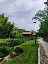 Bamboo Garden – Step into a Martial Arts Dream