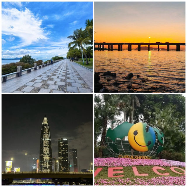 【中国/深セン湾公園】