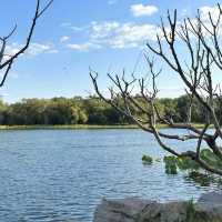 🏯 Let’s Go to the "Garden of a Thousand Gardens" (万园之园) – The Ruins of Yuanmingyuan, Beijing’s Lost