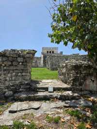 Curious Tracks and New Views at Tren Maya in Cancún