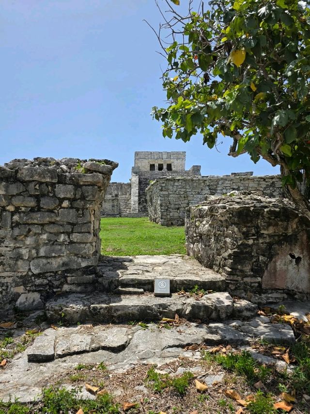 Curious Tracks and New Views at Tren Maya in Cancún