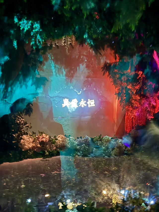 Enchanted Storybook Castle – The Heart of Shanghai Disneyland