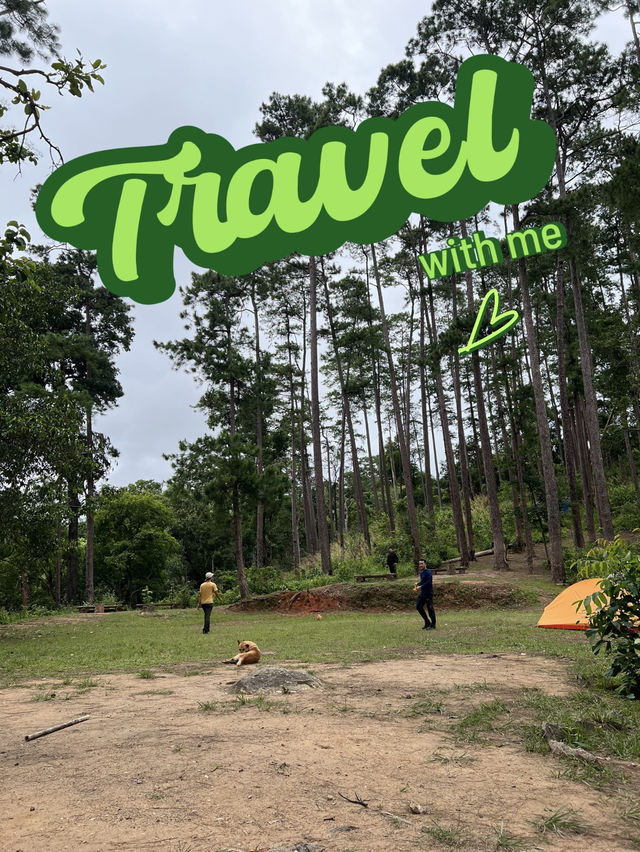 ลานกางเต็นท์ ย.2 ดอยขุนตาล ลานกางเต็นท์ ย.2 ดอยขุนตาล