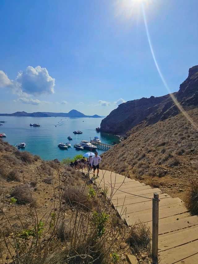 Padar Island: 815 Steps to Paradise Views in Flores