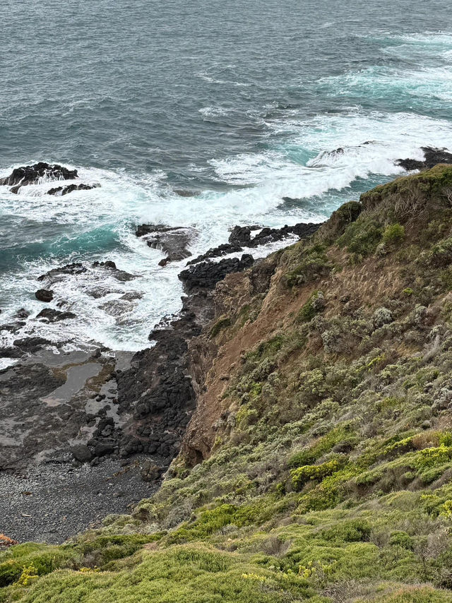 【莫寧頓半島｜海岸與葡萄酒交織的靜謐之旅】