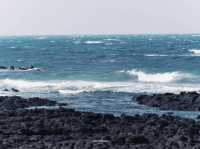 【济州岛月汀里｜韩国写给海风与石墙的长信】