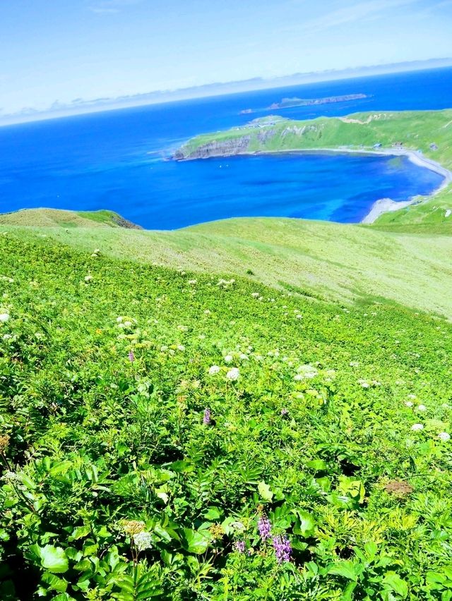 夏の礼文島で花と海と緑の絶景トレッキング 夏の礼文島で花と海と緑の絶景トレッキング