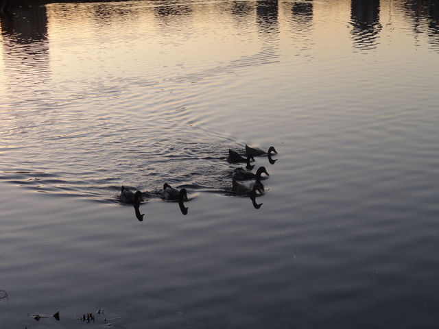 A Paradigm of Living Conservation: Let History Not Be Worshipped, But Lived