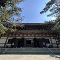 The Heart of Zen: Solo Contemplation at Engaku-ji's Butsuden 🏯