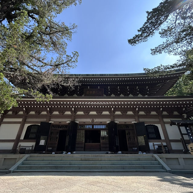 The Heart of Zen: Solo Contemplation at Engaku-ji's Butsuden 🏯 The Heart of Zen: Solo Contemplation at Engaku-ji's Butsuden 🏯