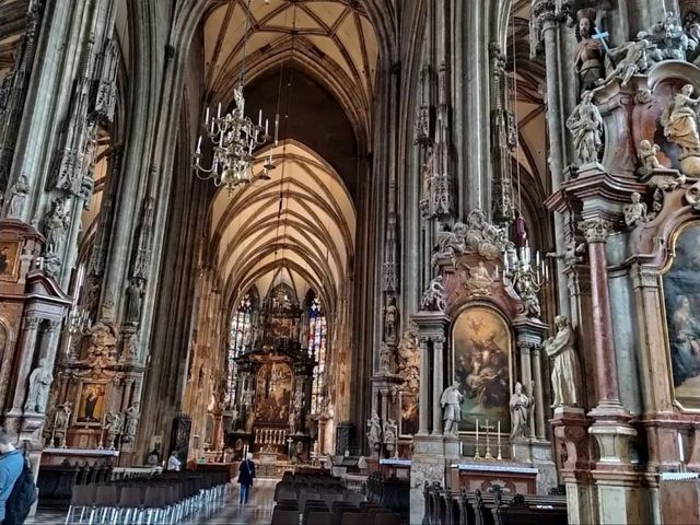 Experiencing the Timeless Charm of Vienna Experiencing the Timeless Charm of Vienna