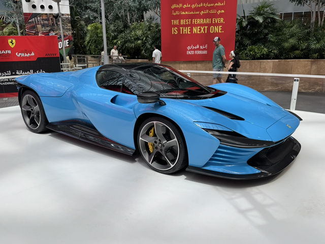 Speed Meets Art🚗! Ferrari world, amazing for car lovers!!