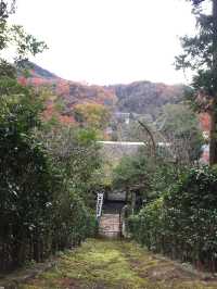 【鎌倉】絶景！マストで行きたい映える寺院と神社