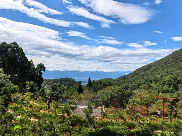 竹子湖故鄉金針花農園