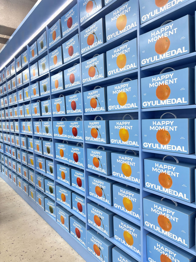 🍊 귤 향 가득한 제주 감성 공간, 귤메달 방문기 🍊
