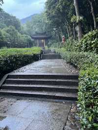 這座高僧云集,儒釋交融,珍藏著眾多文物,藏經千卷,連金庸小說筆下的《書劍恩仇錄》及《射雕英雄傳》,陳家洛及郭靖、黃蓉均曾出現此間。這座千年古剎,實在家喻戶曉,地位顯赫。今天特意到訪,適逢秋雨,更覺這座