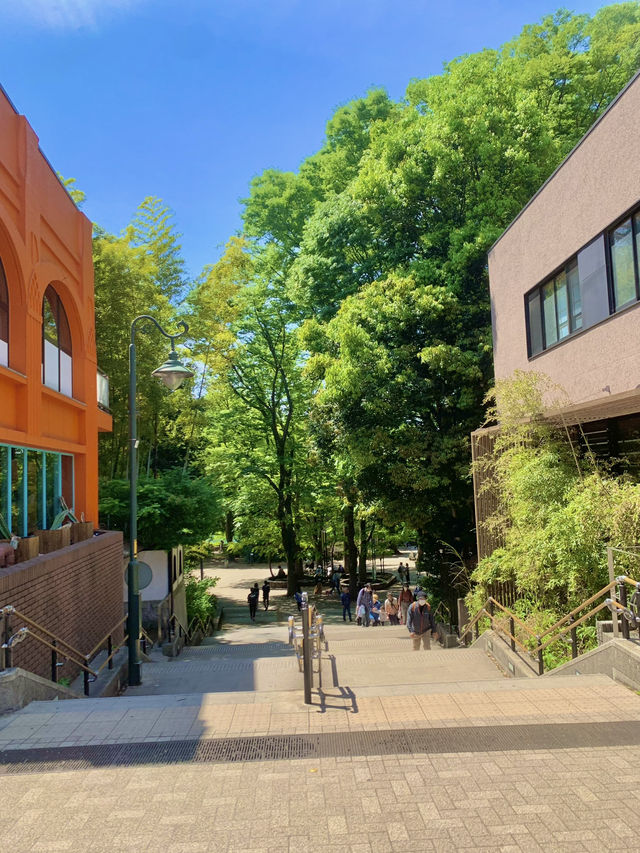 🎡🏰 도쿄 감성+테마파크 여행 ✨🌳