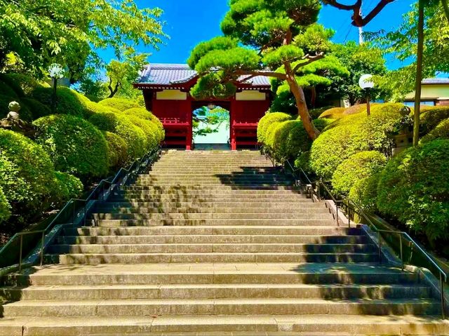 Gokokuji Temple – A Monument to Peace and Resilience