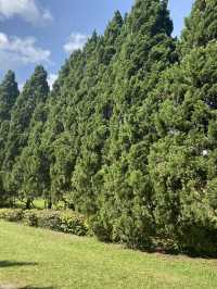 🌲☕ Cypress Lanes, Chiang Mai 🏞️✨