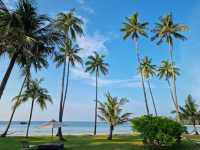 Seaside Sanctuary of Serenity