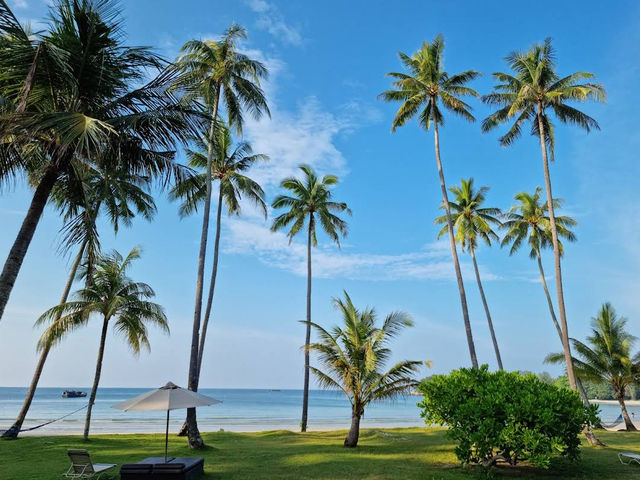 Seaside Sanctuary of Serenity