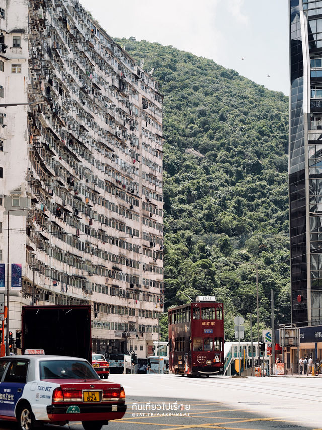 เดินถ่ายรูปกันเพลินๆที่ย่าน Wan Chai - Central
