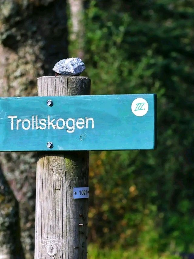⛰️ Mount Fløyen & Fløibanen Funicular: Bergen from Above ⛰️