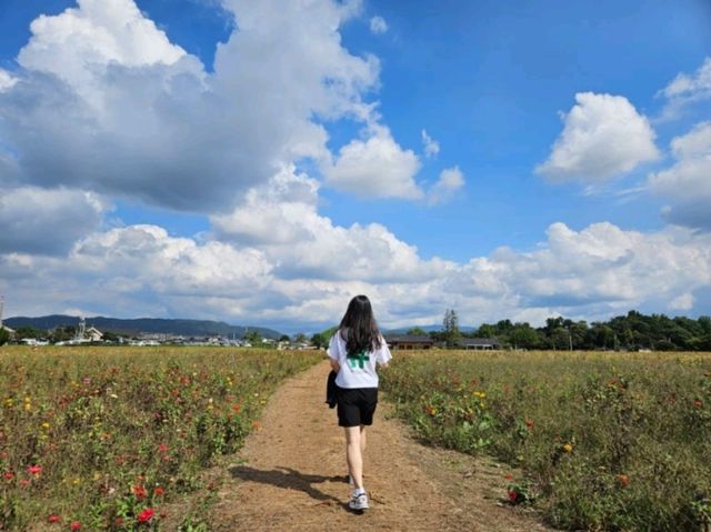 가을이 예쁜 경주 여행, 황금정원나들이 🍂