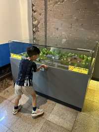 清州歷史展覽館 （清州站歷史公園