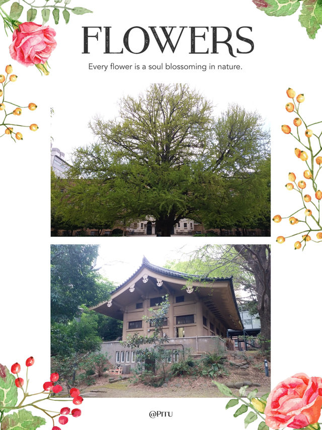 西洋風建築打卡熱點  