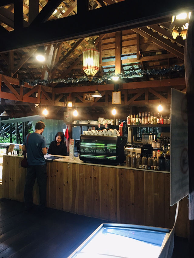 รีวิวร้านกาแฟ Teddy Coffee แม่กำปองกลางหุบเขา