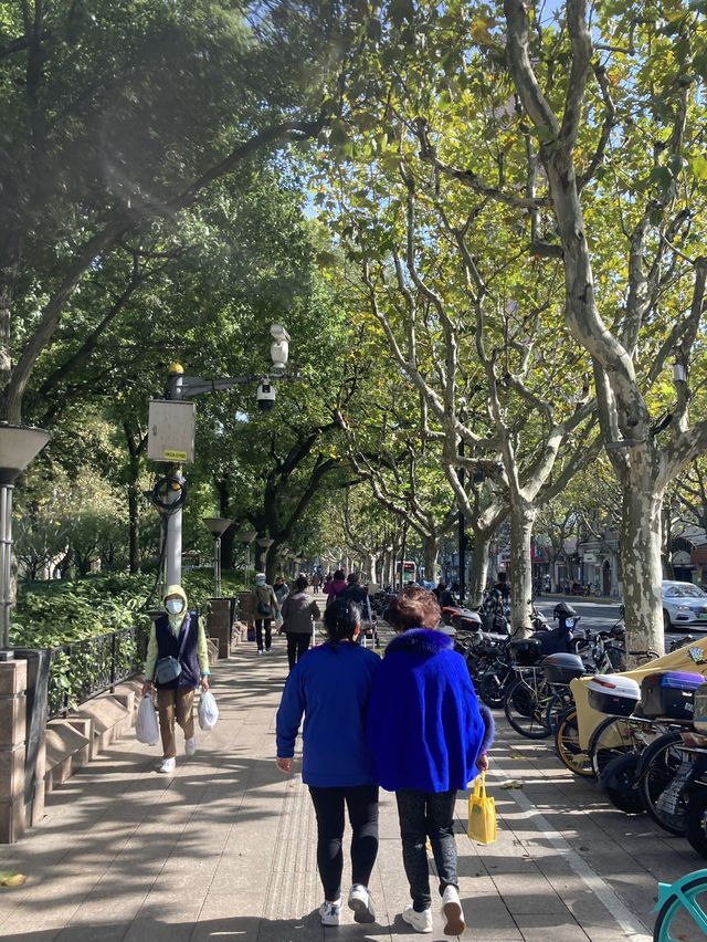 走訪上海的一些日子