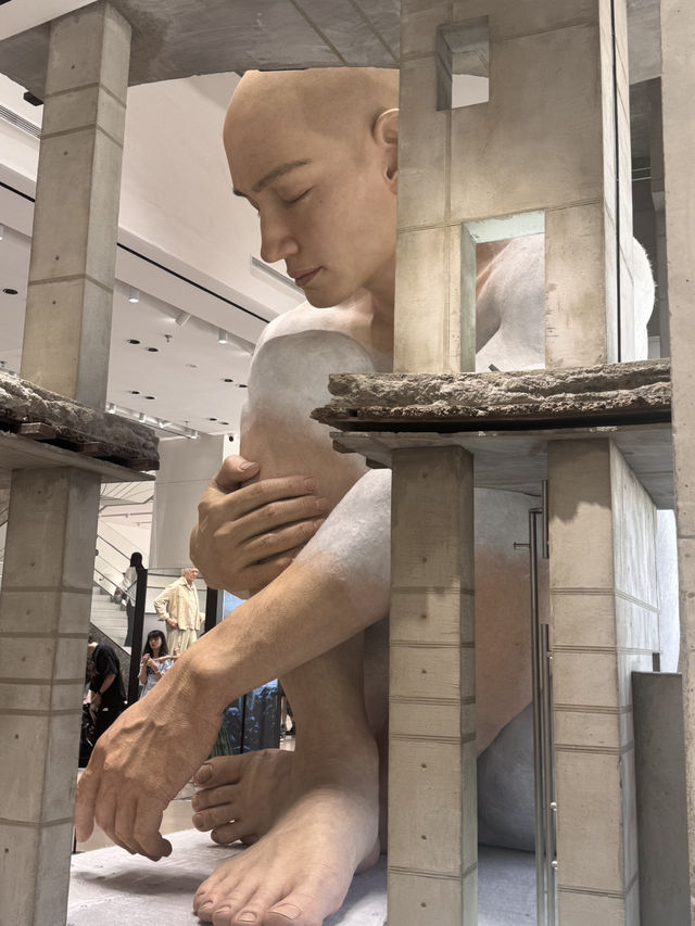 中國🇨🇳深圳巨人展，萬象天地