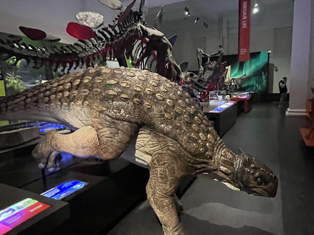 澳洲博物館展品精彩逐個睇