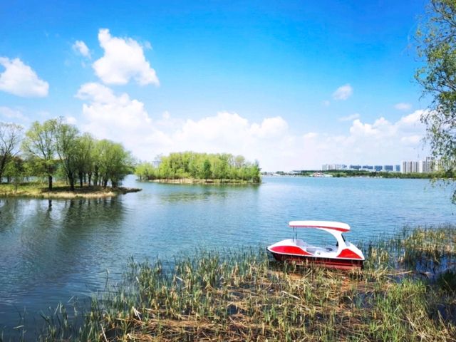 鶴鳴湖公園週末打卡放鬆首選