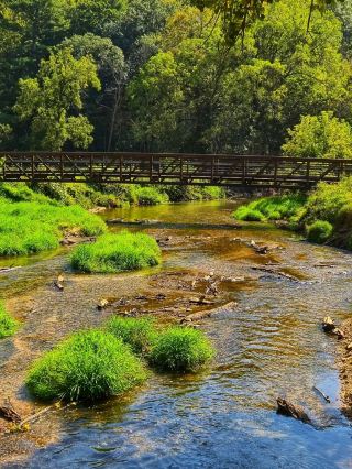 🌲 Backbone State Park – Iowa’s Scenic Escape 🏞️