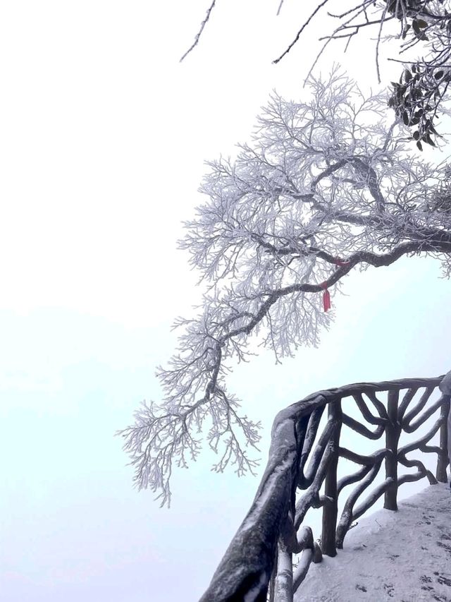 Popular Mountain