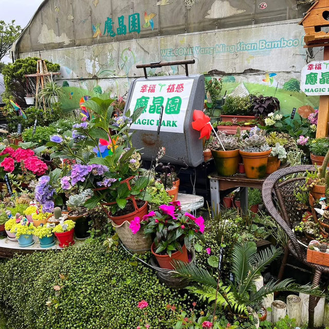🌋🌸 Yangmingshan – Taipei’s Mountain Escape 🌳✨ 🌋🌸 Yangmingshan – Taipei’s Mountain Escape 🌳✨