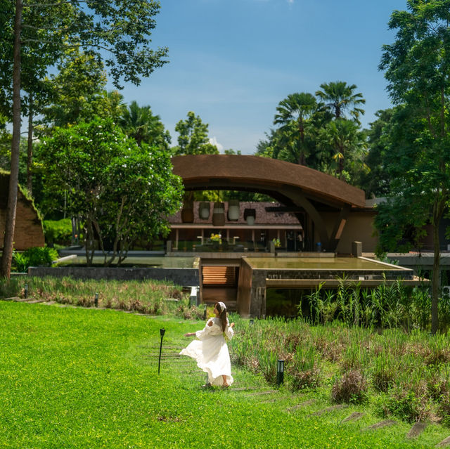 พักผ่อนฮีลใจที่เชียงใหม่ นอนรีสอร์ทสวย 🌳