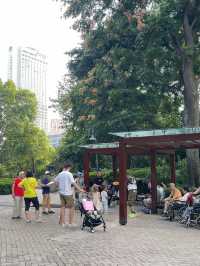 Jing’an Park สวนสาธารณะจิงอัน🌱☘️