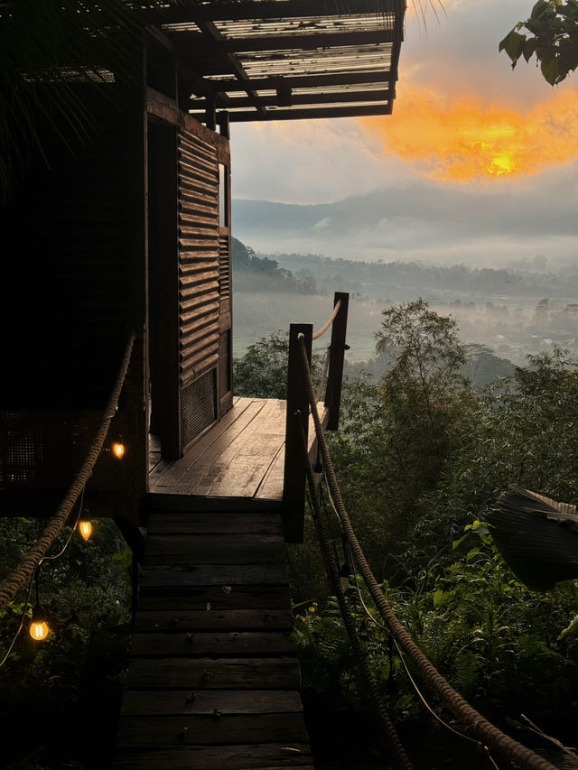 峇里島秘境竹屋住體驗🌿｜睡在原始森林看日出