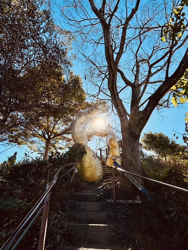 靜謐山林裡的大佛手——南觀音山步道小旅行